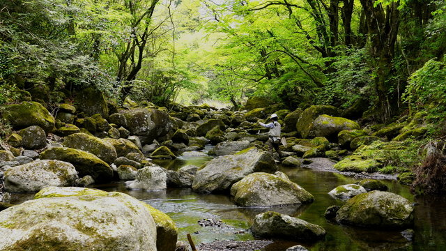 九州熊本の阿蘇山　阿蘇山の伏流水が流れる出る渓谷の釣り、 
