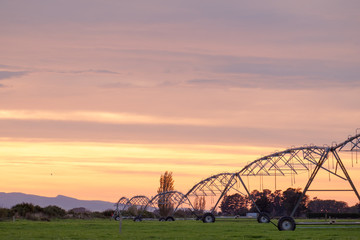 Fototapeta na wymiar Agriculture modern irrigation. watering spray machine set on the green grassland field with blue sky and warm light scene.