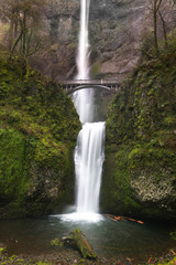 Fototapeta premium Multnomah Falls