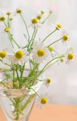 花瓶に入れたカモミールの花