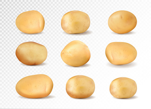 Potato Vector Images – Browse 148,822 Stock Photos, Vectors, and Video