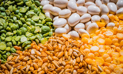 Colorful multi-colored cereals. Ingredients for cooking organic food