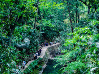 等々力渓谷　世田谷　都会