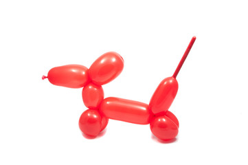 Fototapeta na wymiar balloon red dog isolated on the white