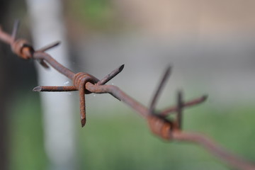  barbed wire