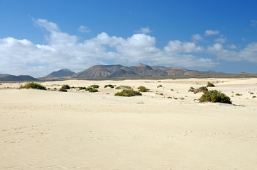 Desert of Fuerteventura in area Corallejo