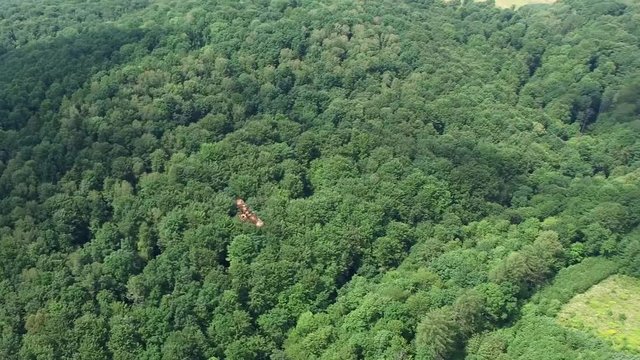 Aerial of Hawk Flying Above Hilly Countryside Forests