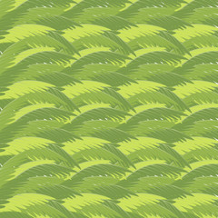 Coconut Leaf Background and Wallpaper Vector
