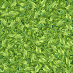 Green leaf background