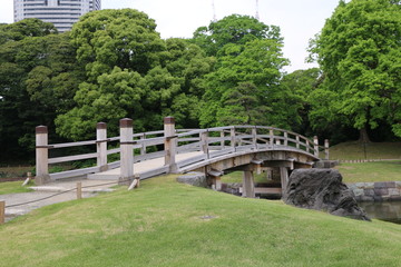 Fototapeta na wymiar 公園の橋