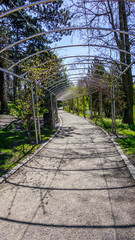 Framed walkway in Copenhagen botanical gardens, Denmark