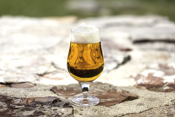 glass of ale beer with foam in nature