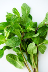 Close up of fresh mint leaves on white background. Selective focus