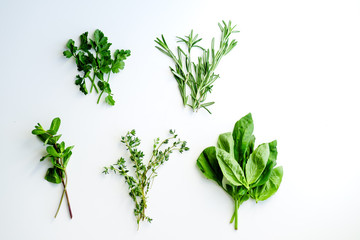 Fresh culinary herbs on white background: rosemary, thyme, mint, basil and parsley in small bunches