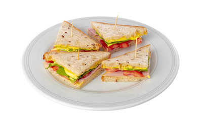 sandwich on white background
