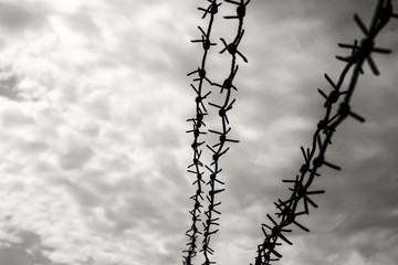 rusty barbed wire on the fence