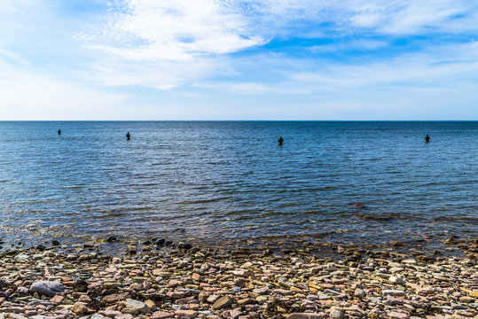 Four fly fishermen standing waist deep in the sea fishing for sea trout. Rocky shore in foreground and lovely blue sky over the horizon in the background.
