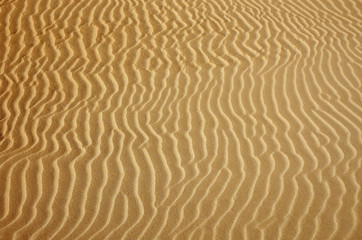 Gold desert Sand texture