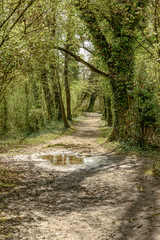 walk in nature oasis, Iseo, Italy