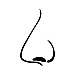 Human nose, side view