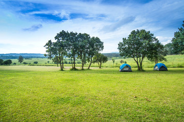 Camp site in the forest, campground at Tung Saleang Luang National Park, Thailand - obrazy, fototapety, plakaty
