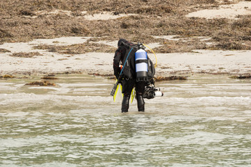 Obraz premium Scuba Diver on beach