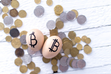 Obraz na płótnie Canvas Egg with bitcoin on a white background. The concept of Crypto-currency