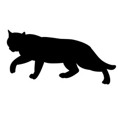 icon, silhouette cat, on white background