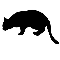 vector silhouette cat