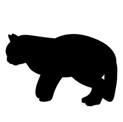vector silhouette cat