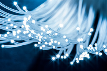 Bundle of optical fibers with lights in the ends. Blue background.