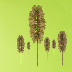 trees made of maple seeds on bright background. Minimal nature concept