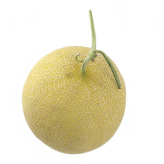 Galia melon fruit isolated