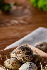 Quail eggs in the container over rustic wooden table, close-up, high angle view, selective focus.