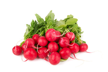 Small garden radish