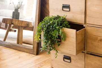 a green plant hangs from a wooden box on the background of a mirror and a wooden interior