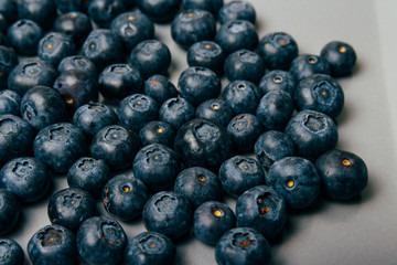 large, fresh blueberries lie on a gray plate, close-up