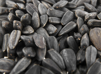 sunflower seeds as a background