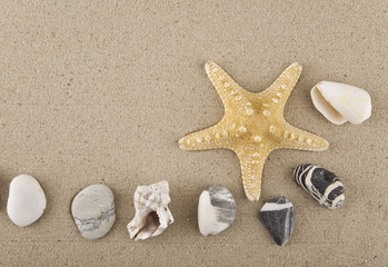 Fototapeta na wymiar seashells, stones and starfish sand for relaxation as a background