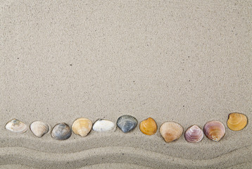 Fototapeta na wymiar Seashells on sand for relaxation as background