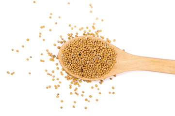 Yellow mustard seeds in wooden spoon isolated on white background, top view
