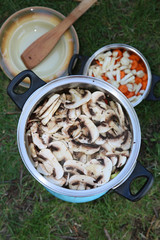 Strogonov dish prepared in the open air during a fishing trip.