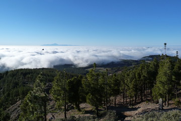 Blick auf Kieferwälder und Wolken auf Gran Canaria am Pico de las Nieves mit der Insel Teneriffa am Horizont.