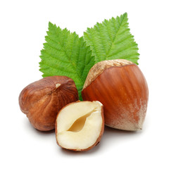 Hazelnut