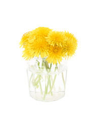 Dandelions flower in glass isolated on white background