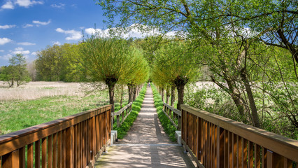 Fototapeta premium Ilmenaubrücke Bad Bevensen im Frühling