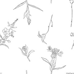 vector seamless pattern with drawing flowers