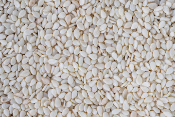 White toasted sesame seeds background, macro shot.