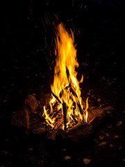 Fire close-up and red orange yellow color detail texture and abstract shape on black background.