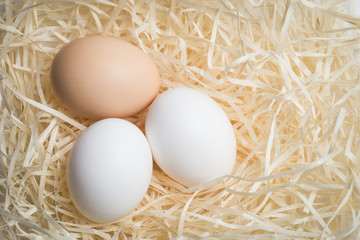 Three chicken eggs lie in a nest of straw, shot close-up